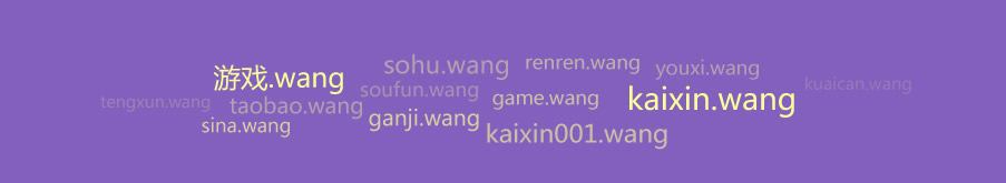 资源丰富,典藏众多“王牌域名”